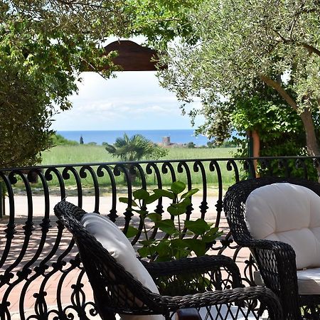 Guest House Fortuna Novigrad Istria Dış mekan fotoğraf