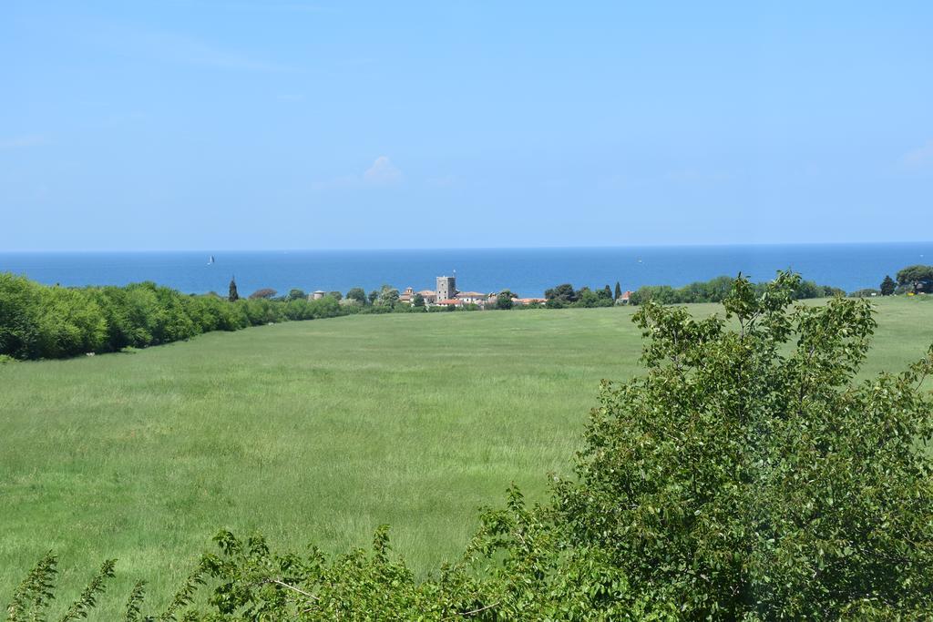 Guest House Fortuna Novigrad Istria Dış mekan fotoğraf
