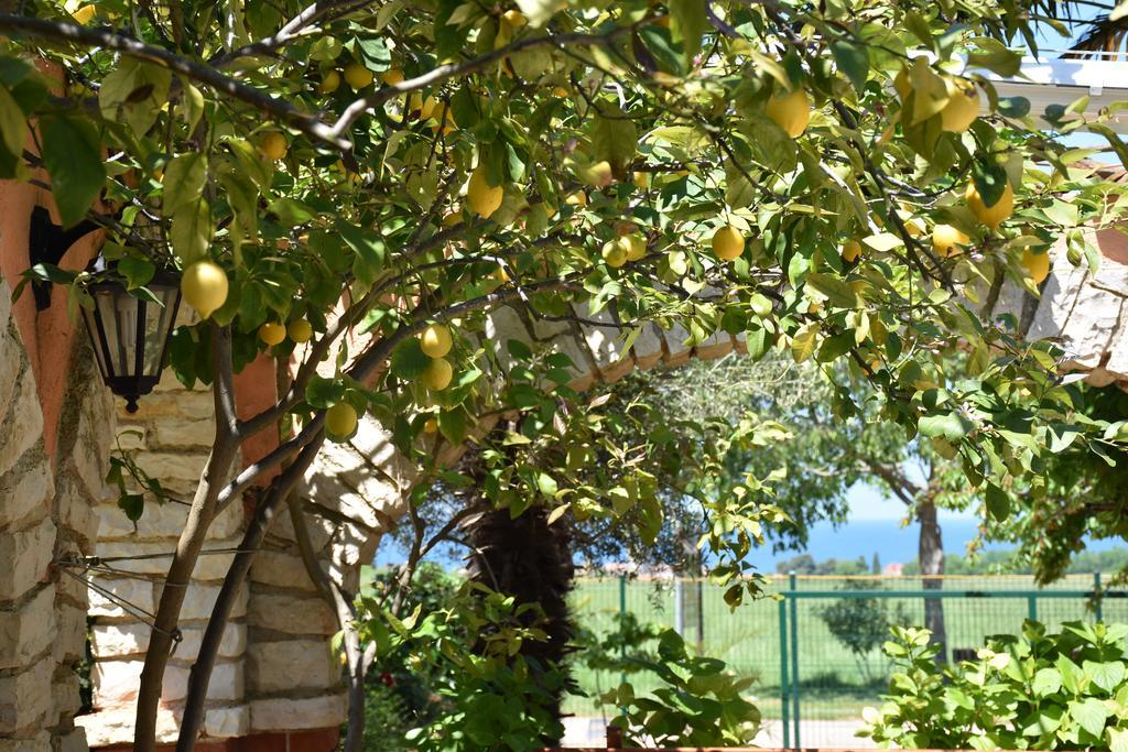 Guest House Fortuna Novigrad Istria Dış mekan fotoğraf