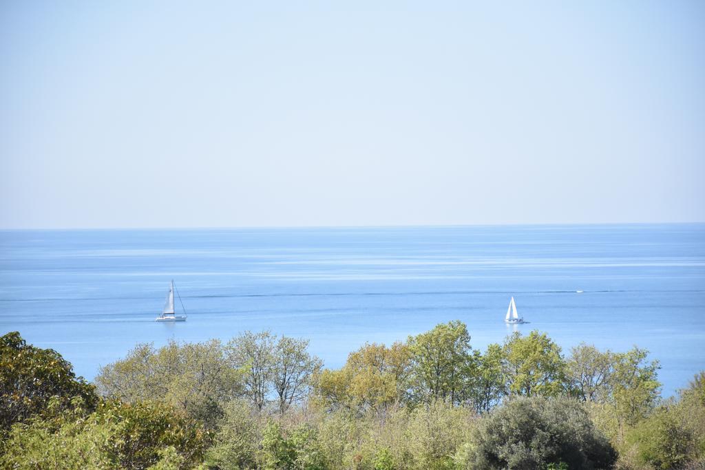 Guest House Fortuna Novigrad Istria Dış mekan fotoğraf
