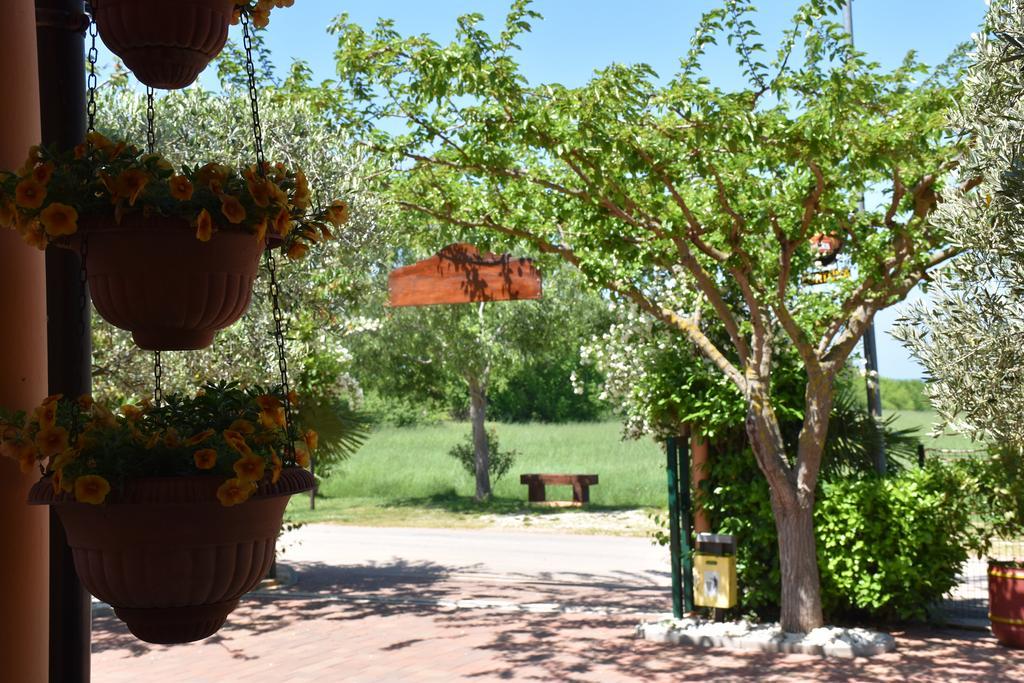 Guest House Fortuna Novigrad Istria Dış mekan fotoğraf