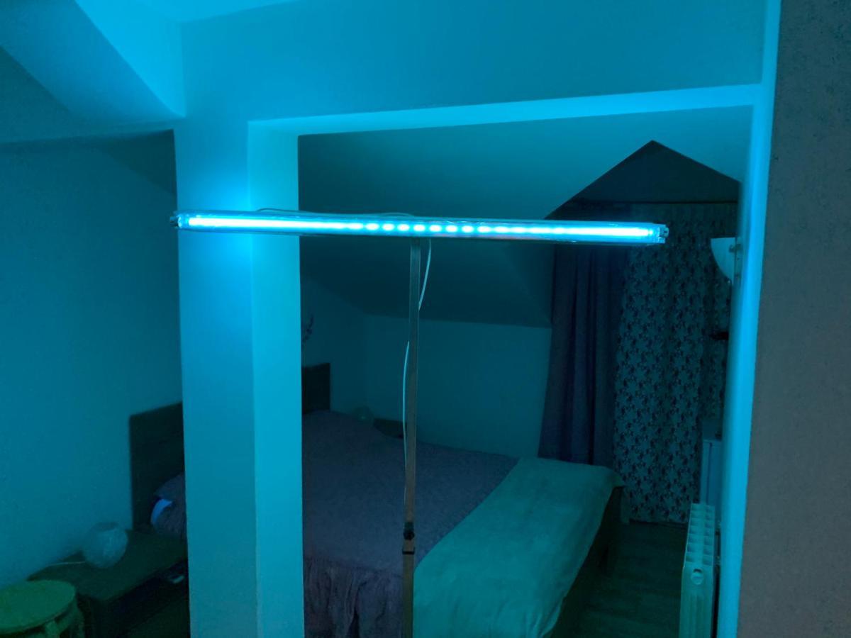 Guest House Fortuna Novigrad Istria Dış mekan fotoğraf